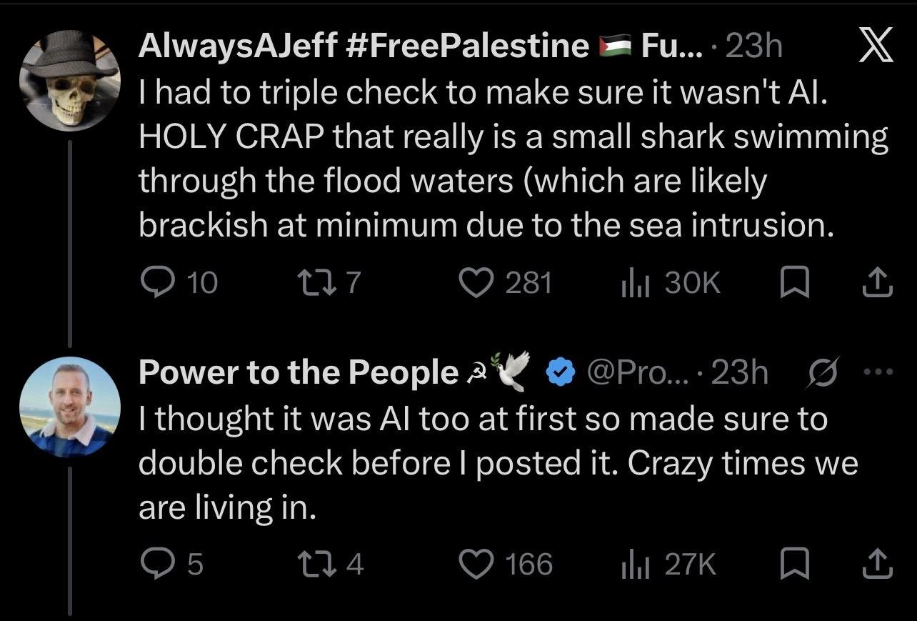 Screenshot of a thread on X in which one user writes they “had to triple check to make sure it wasn't AI” and another replies “I thought it was AI too at first so made sure to double check before I posted it”.