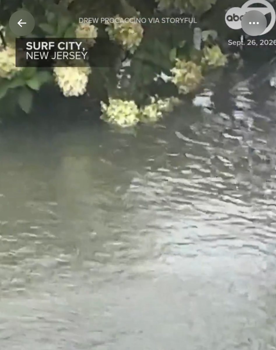 Phone screenshot of the credited footage showing a flooded street, with on-screen graphics reading “Drew Procaccino via Storyful”, “Surf City, New Jersey” and “Sept. 26, 2026”.