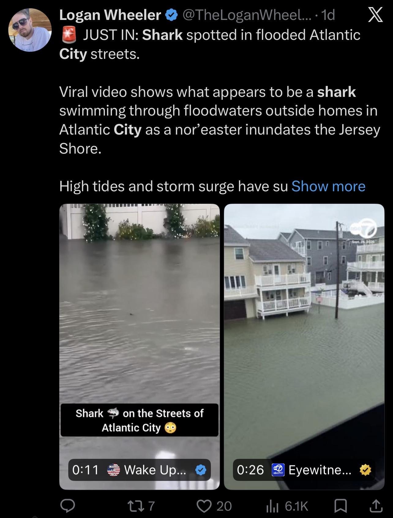 Screenshot of an aggregator account's post carrying two video stills of the flooded street under the headline “JUST IN: Shark spotted in flooded Atlantic City streets.”